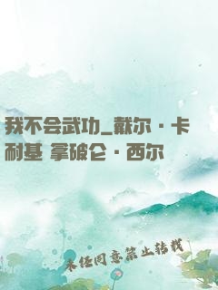我不会武功